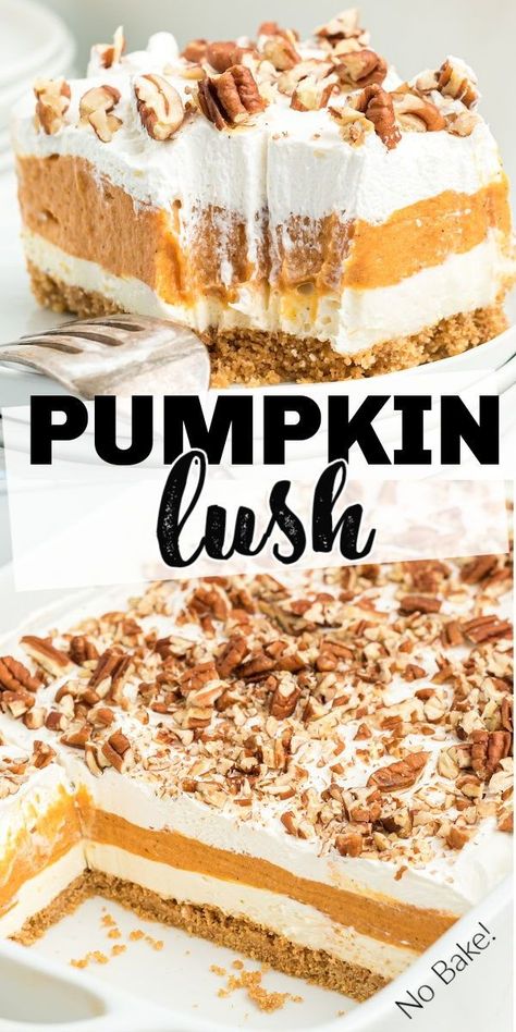 Creamy Layered Pumpkin Dessert, Pumpkin Cream Cheese Layered Dessert, Pumpkin 4 Layer Dessert, Pumpkin And Cream Cheese Desserts, Pumpkin Deserts Easy Dessert Recipes, Pumpkin Yum Yum, Pumpkin Dessert With Graham Cracker Crust, Pumpkin Lust Dessert, 4 Layer Pumpkin Delight