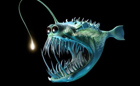 Angler Fish Costume, Angler Fish Art, Angler Fish Tattoo, Scary Fish, Underwater Tattoo, Fish Costume, Fishing Photography, Marianas Trench, Deep Sea Creatures