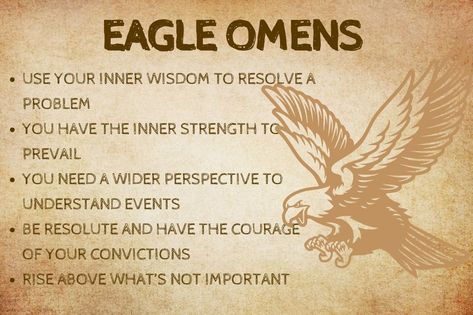 Eagle Spiritual Meaning, Eagle Meaning, Eagle Symbolism, Eagle Medicine, Eagle Spirit Animal, Spirit Animal Test, Spiritual Animals, Imperial Symbol, Spirit Animal Quiz