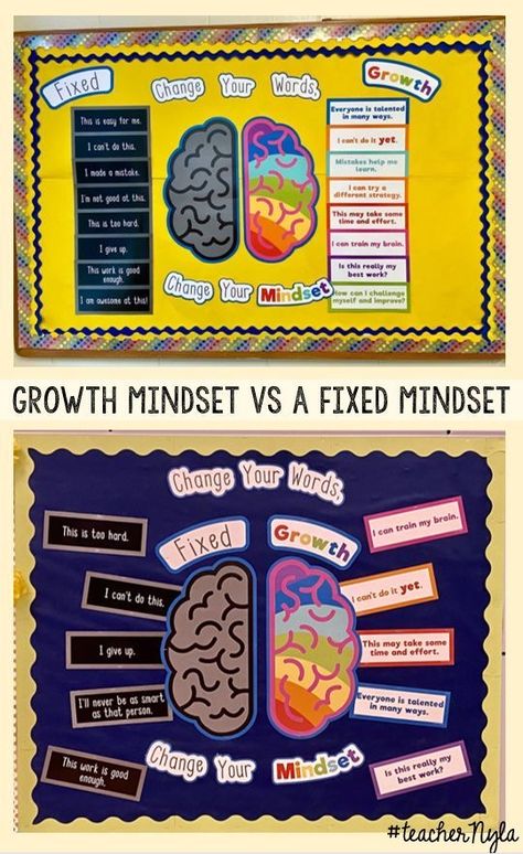 School Counselor Board Ideas, Sel Bulliten Boards, Human Resources Bulletin Boards, Teacher About Me Bulletin Board, High School Counseling Bulletin Boards Counselor Office, Growth Mindset Bulletin Board Elementary, Avid Bulletin Boards, Interactive Bulletin Boards College, Sel Bulletin Board Ideas