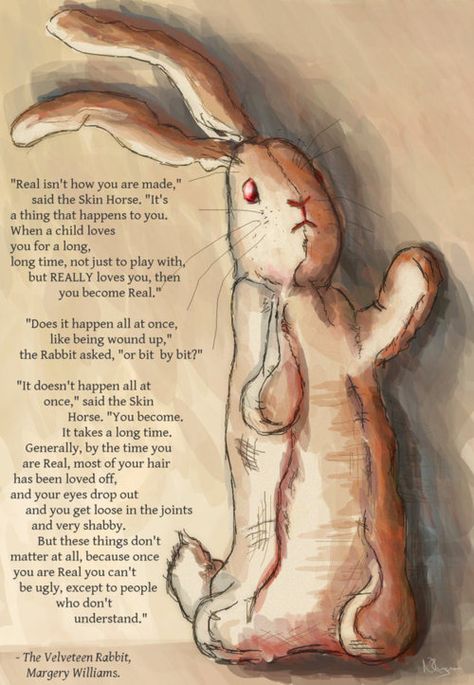 Rabbit Quotes, The Problem With Forever, Charlie Emily, Children Book Quotes, The Velveteen Rabbit, Rabbit Tattoo, Rabbit Pictures, Book Cover Artwork, Got Characters