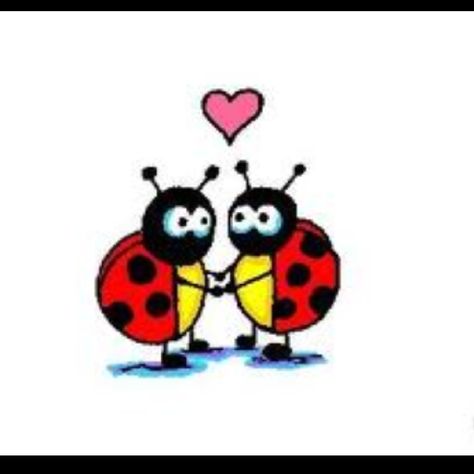 love bugs Halloween Imagem, Mia 3, Love Bugs, Love Pictures, Love Wallpaper, Funky Art, Artsy Fartsy, Loving U, Wall Collage