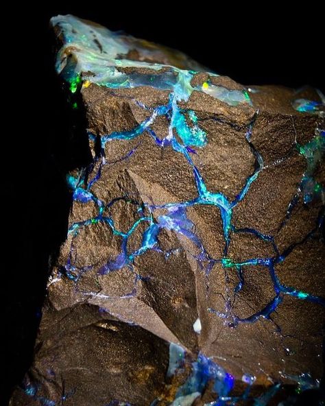 Stunning Opal veins in stone from Australia | #Geology #GeologyPage #Opal #Mineral  Geology Page www.geologypage.com Caillou Roche, 달력 디자인, Pretty Rocks, Cool Rocks, Rocks Crystals, Beautiful Rocks, Gemstones Crystals, Gems Crystals, Rock Collection