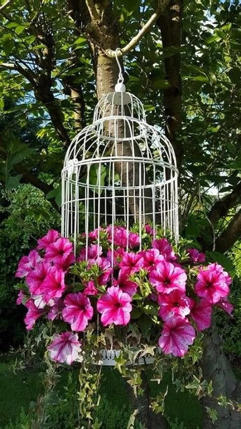 5 creative ways to liven up your garden Ecological Garden, Birdcage Planter, Garden Objects, Cage Decor, Flowers Hanging, نباتات منزلية, Bird Cage Decor, Permaculture Design, Container Gardening Flowers