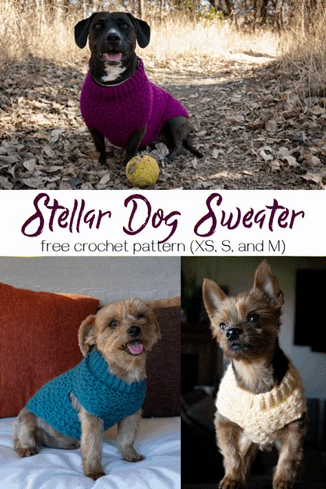 Free Crochet Dog Sweater, Crochet Dog Sweater Patterns, Crochet Dog Sweaters, Crochet For Dogs, Crochet Dog Sweater Free Pattern, Knitted Dog Sweater Pattern, Dog Sweater Crochet, Crochet For Pets, Sweater Free Pattern