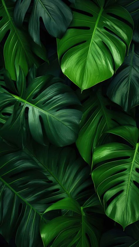 Green Foliage Leaves iPhone Wallpaper 4K - iPhone Wallpapers Emerald Accent Wall, Leaves Iphone Wallpaper, Apartment Bedroom Office, College Apartment Bedroom, Leaves Wallpaper Iphone, Notch Wallpaper, Green Nature Wallpaper, Green Aesthetics, Green Leaf Wallpaper