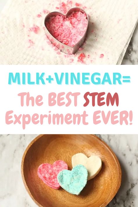 Image of heart cookie cutter and homemade hearts with the text, "Milk+Vinegar=The BEST STEM Experiment Ever!" Milk Preschool Activities, Preschool Science Experiments At Home, Milk Into Plastic Experiment, Easy Homeschool Science Experiments, Milk And Vinegar Experiment, Homeschool Science Experiments 1st Grade, Valentines Steam Activities For Kids, Mother's Day Science Experiment, Household Science Experiments