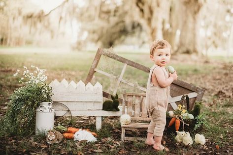 Easter Mini Session Ideas, Easter Bunny Photoshoot, Mini Session Ideas, Easter Baby Photos, Studio Mini Sessions, Easter Mini Session, Easter Outdoor, Animal Photoshoot, Easter Photoshoot