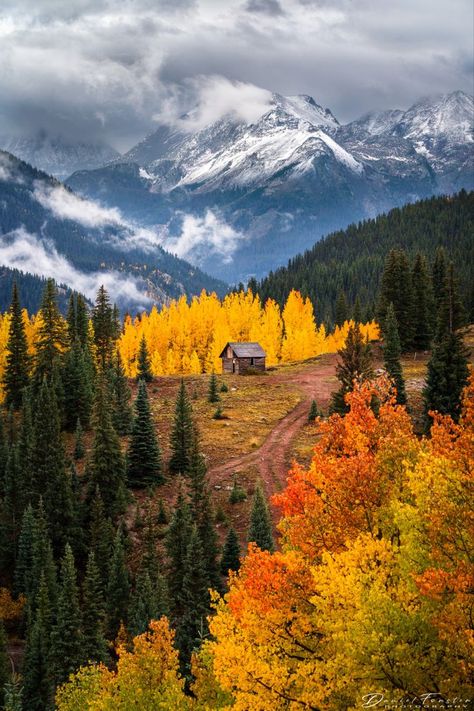 Abandoned Cabin, Forest Home Decor, Mountain Autumn, Colorado Wall Art, Forest Home, Colorado Photography, Colorado Landscape, Foto Top, San Juan Mountains