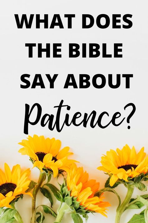 Fruit Of The Spirit Patience Lesson, Fruit Of The Spirit Patience, Patience Bible Verse, Bible Verses About Prayer, Prayer For Forgiveness, Marriage Bible Verses, Youth Bible Study, Learning Patience, Prayer For Love