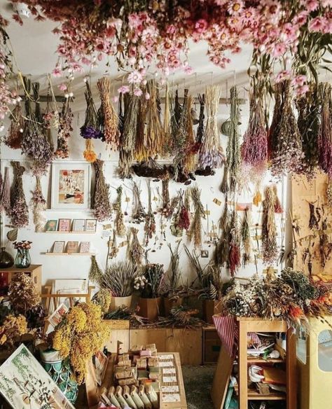 Herbal Shop, Apothecary Decor, Herb Shop, Magia Das Ervas, Witch Shop, Herbal Apothecary, Herbal Magic, Witch Aesthetic, Kitchen Witch