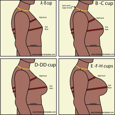 Finding Dress Bust Cup Sizes - Timeless Templates Human Body Proportions, Increase Breast Size, Moda Academia, Full Bust Adjustment, Bra Sewing Pattern, Sewing Measurements, Corset Sewing Pattern, Bra Sewing, Fashion Sewing Tutorials