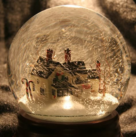 Light Up Snow Globe, Musical Snow Globes, Christmas Barbie, Christmas Snow Globes, Music Boxes, Christmas Snow, Barbie Movies, Christmas Mood, Snow Globe