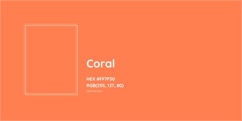 HEX #FF7F50 Coral Color - Color Code Warm Tone Color Palette, Munsell Color System, Warm Tone Colors, Skin Palette, Tone Color Palette, Personal Color Analysis, Analogous Color Scheme, Rgb Color Codes, Hexadecimal Color