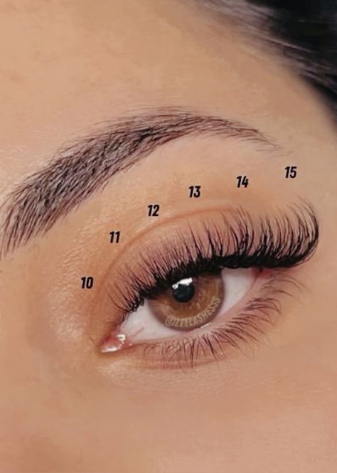 Lash Extensions Lash Map, Natural Lash Extensions, Natural Fake Eyelashes, Lash Maps, Lash Map, Lashes Tutorial, Lashes Fake Eyelashes, Lash Mapping, Prom Eye Makeup