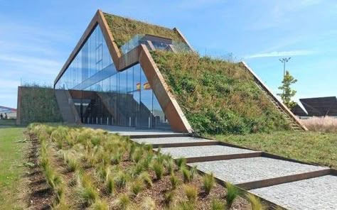 Green Roof Planting, Fachada Exterior, Roof Plants, Green Roof Design, Green Roof House, Green Roof Building, Green Roof System, Zoo Inspiration, Grass Roof