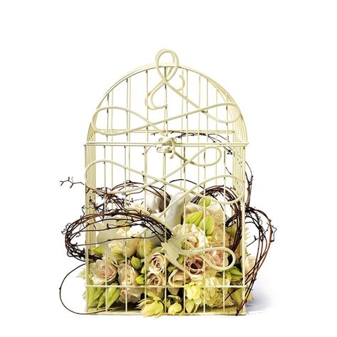 Bird cage ideas