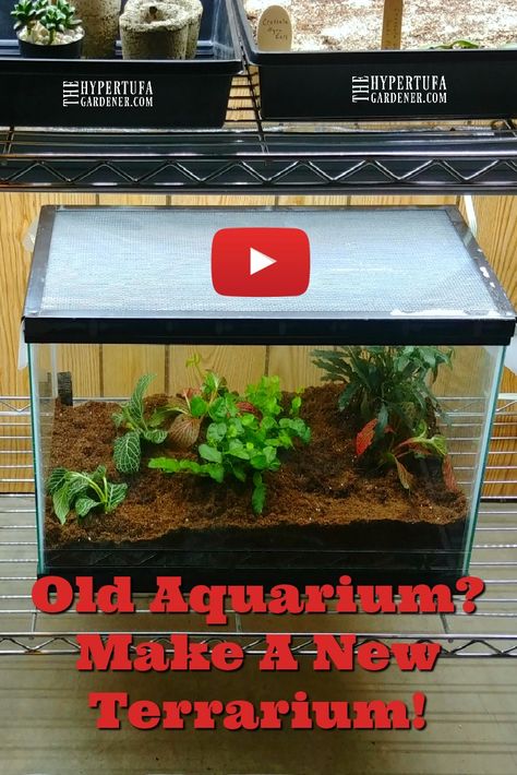 I have decided on converting the aquarium to a terrarium. Makes sense to me. I have quite a few plants that need a bit of a humid atmosphere. It worked.  It can also work for a "desert" terrarium for succulents. #terrarium #houseplants #succulents #diy Terrarium Aquarium Diy, Terrarium In Aquarium Tank, Aquarium Planter Ideas, Fish Tank Plant Terrarium, Aquarium To Terrarium, Diy Aquarium Ideas, Big Terrarium, Self Sustaining Terrarium, Desert Terrarium