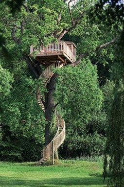 Simple Tree House, Beautiful Tree Houses, Building A Treehouse, Tree House Diy, Tree House Kids, Cool Tree Houses, Simple Tree, Tree House Designs, Diy Tree