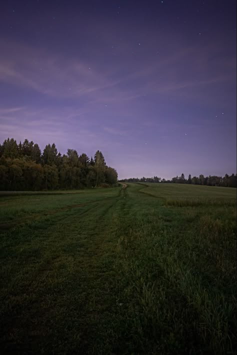 Dark Field Aesthetic, Field At Night Aesthetic, Night Grass Field, Grass At Night, Green Field Aesthetic, Night Countryside, Farm At Night, Night Field, Field At Night