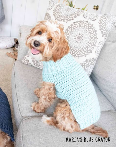 Crochet Dog Sweater Free Pattern - Maria's Blue Crayon Diy Crochet Dog Sweater, Crochet Dog Sweaters, Crochet Dog Sweater Free Pattern, Crochet For Pets, Dog Sweater Crochet, Sweater Free Pattern, Crochet Dog Clothes, Dog Sweater Crochet Pattern, Pets Wallpaper