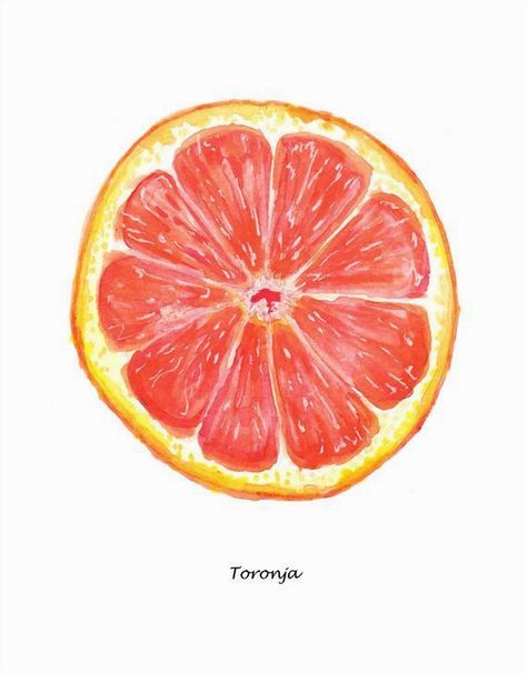 Add a splash of color and zest to your kitchen with this stunning grapefruit watercolor art. Perfect for brightening up your space, this vibrant piece captures the juicy essence of fresh grapefruit with its lively hues and intricate details. Whether you're a fan of citrus fruits or simply love bold, eye-catching decor, this artwork is sure to bring a refreshing vibe to your home. Ideal for food lovers and art enthusiasts alike, it makes a delightful addition to any kitchen wall. Grapefruit Illustration, Grapefruit Painting, Grapefruit Watercolor, Grapefruit Art, Citrus Watercolor, Oranges Watercolor, Aesthetic Fruit, Fruit Watercolor, Fruit Artwork