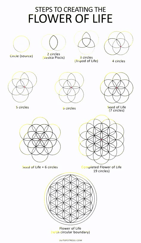 Flower of Life – Symbolism + 6 Hidden Meanings (Sacred Geometry) Seed Of Life Tattoo Mandalas, Seven Chakras Art Sacred Geometry, Terrance Howard Flower Of Life, Flower Of Life Tutorial, Germ Of Life Sacred Geometry, Sacred Geometry Tattoo Ideas, Flowers Of Life Tattoo, Flower Of Life Wrist Tattoo, Simple Sacred Geometry