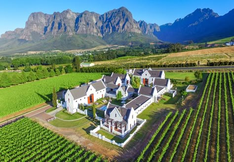 South Africa Winelands, Hacienda Interior, African Dinner, Winery Architecture, Cape Dutch Architecture, South Africa Wildlife, Polo Game, Napa Style, Wine Farm