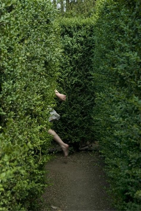 Person In Nature, In The Woods Aesthetic, Hedge Maze, Fotografi Vintage, The Secret Garden, Story Inspiration, Non Fiction, Narnia, Juno