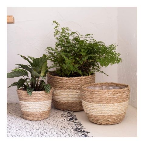 Plant Containers, Straw Weaving, Planter Basket, Flower Pots Outdoor, Natural Weave, Plant Basket, Outdoor Flowers, Decorative Planters, Outdoor Planters