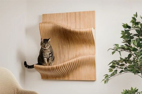 Luxury Cat Tree, Luxury Cat Furniture, Niche Chat, Cool Cat Trees, Modern Cat Furniture, Modern Cat Tree, Cat Wall Furniture, Cat Towers, Cozy Cat