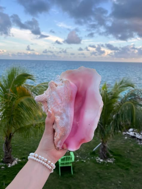 Pink Island Aesthetic, Pink Coconut Girl Aesthetic, Pink Summer Aesthetic, Pink Hawaii, Beach Core, Summer Core, Necklaces Pink, Coconut Girl Summer, Pink Island