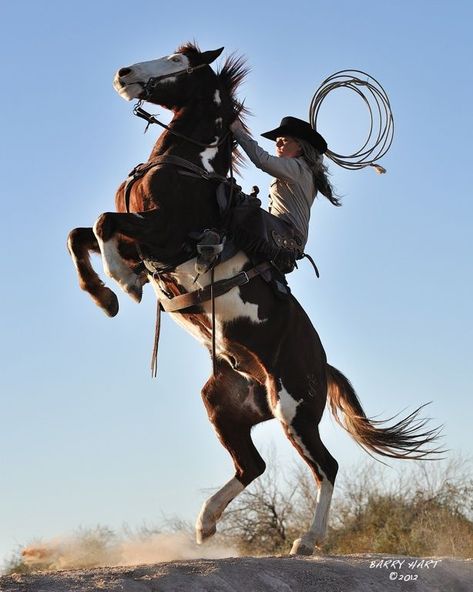 Cowboy Photography, Horse Rearing, Western Artwork, Cowboy Aesthetic, Hilarious Pictures, Not Funny, Photographie Portrait Inspiration, 사진 촬영 포즈, Cowboy Art