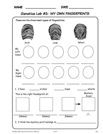 This sample life science curriculum has a nice activity on observing and classifying fingerprints. Fingerprint Stem Activity, Fingerprint Science, Fingerprint Activity, Geheimagenten Party, Cub Scouts Bear, Dna Fingerprinting, Cub Scout Activities, Fingerprint Heart, Spy Party