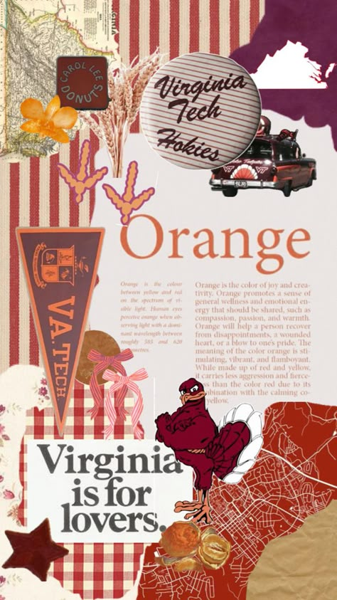 Vision Board Themes, Tech Aesthetic, Virginia Tech Hokies, Human Eye, Virginia Tech, Orange Color, Mood Board, Virginia, Collage