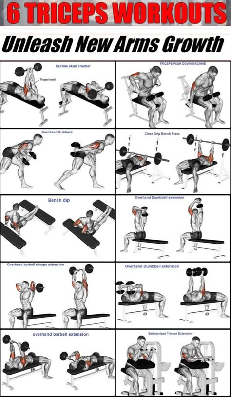 Tricep Workout Gym, Upper Body Workout Gym, Big Biceps Workout, Chest And Tricep Workout, Bicep And Tricep Workout, Tricep Workout, Workout Gym Routine, Gym Workout Guide, Latihan Dada