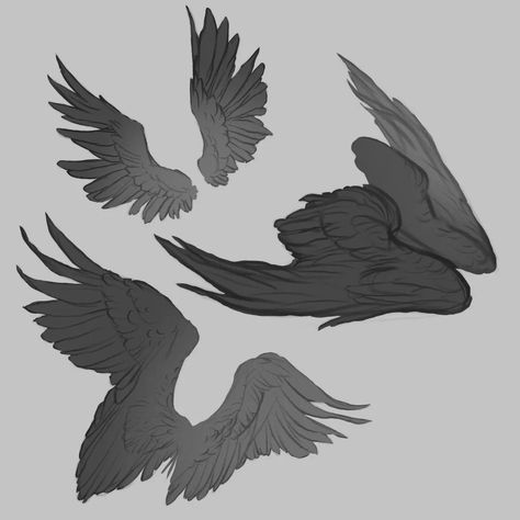 I'm dedicating some time to practicing drawing wings to enhance their dynamic movement and adapt them to various types of plumage. . . . . . . #sketch #wings #digitalart Feather Wings Drawing Reference, Back Wings Reference, Different Wings Drawing, Fluffy Wings Drawing Reference, Feathers Drawing Reference, Different Wing Types, Bird Wings Reference Drawing, Human With Wings Drawing Reference, Wings Drawing Back View