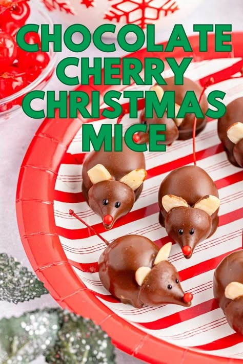 Chocolate Covered Cherry Mice Recipe: Get the kids to help you make these cute mice chocolate-covered cherries. They are fun, easy, and made with simple ingredients. Oh, and they are so yummy! Chocolate Cherry Christmas Mice, Chocolate Covered Cherry Mice, Chocolate Mice Cherries, Chocolate Cherry Mice, Cherry Mice, Chocolate Mice, Mouse Recipes, Cherry Christmas, Fun Holiday Treats