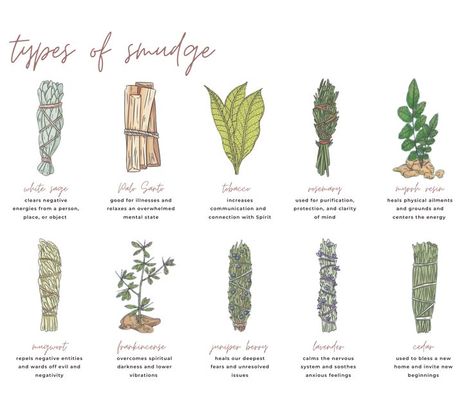 Different Smudging Sticks, Lavender Sage Smudge Sticks, Different Types Of Smudge Sticks, Smudging Without Sage, Thyme Smudge Stick, Make Your Own Sage Bundle, Cedar Sage Benefits, Different Smudge Sticks Meaning, Benefits Of Palo Santo