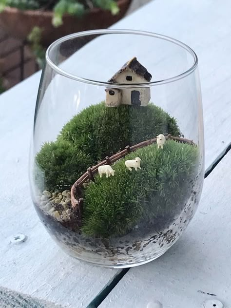 Aesthetic Witch Costume, Paint Kitchen Appliances, Boho Kitchen Ideas, Different Vibes, Beautiful Terrariums, Mini Terrarium, Bohemian Kitchen, Terrarium Ideas, Deco Nature