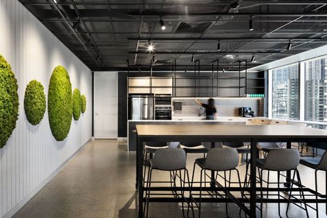 Omada Rail Office Fitout - polytec Design Awards Groove Ceiling, Reused Furniture, Office Fitout, Office Inspo, Panel Doors, Design Awards, Industrial Style, Work Space, Conference Room Table