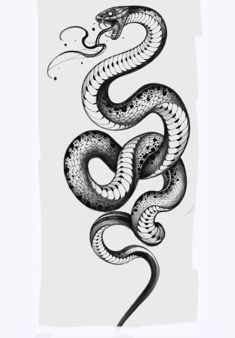 Sketch Snake, Rattlesnake Tattoo, Snake Sketch, Mouth Tattoo, Japanese Snake Tattoo, Cobra Tattoo, Medieval Tattoo, Serpent Tattoo