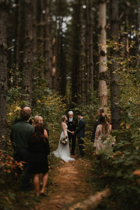 Check the blog for our spotlight interview with Cody & Allison | Image by Cody & Allison October Wildflower Wedding, Small Wedding In The Woods, Eloping Photos, Dnd Room, Forest Wedding Ceremony, Asheville Elopement, Folk Wedding, Redwood Wedding, Forest Theme Wedding