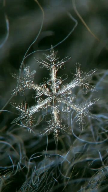 Drawn Mask, Snowflake Photography, Snowflakes Real, Geometry In Nature, Magic Video, Snow Crystal, Black And White Background, Winter Magic, Macro Photos