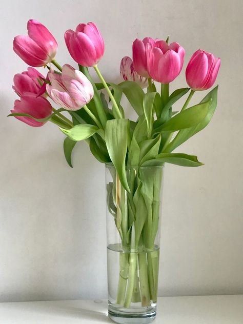 Tulip Flower Photography, Vintage Flowers Wallpaper, Flowers Photography Wallpaper, Tulips In Vase, Flower Shower, Nothing But Flowers, Flower Therapy, Pink Tulips, Tulips Flowers