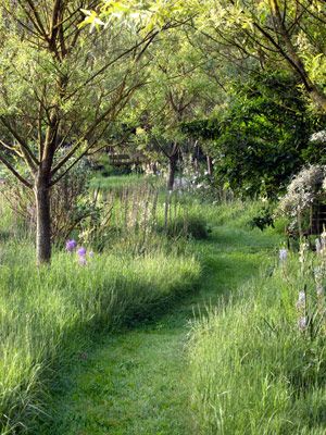 Let an area of the lawn grow wild, then create a path through the tall grass with a riding mower or weedwacker | countryliving.com Walkway Landscaping, Trees And Flowers, Meadow Garden, Have Inspiration, Front Yard Garden, Landscaping Tips, Garden Pathway, Garden Tours, Natural Garden