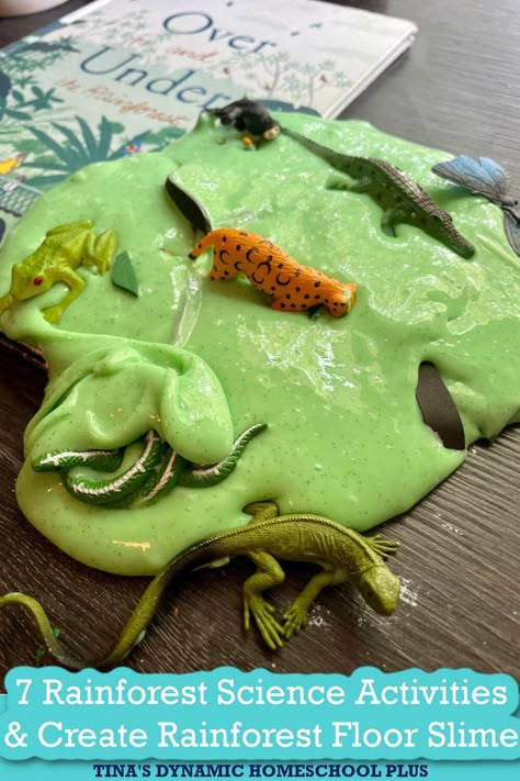 Rainforest Activities Preschool Science Experiments, Jungle Theme Stem Activities, Rainforest Science Preschool, Rainforest Art Activities, Biomes Preschool Activities, Rainforest Experiments For Kids, Rainforest Playdough, Amazon Rainforest Activities, Rainforest Activities For Kindergarten