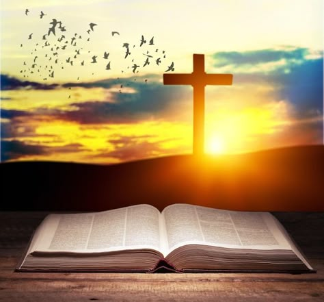 Cross Images Christian Hd, Pictures Of Bibles, Faith Pictures Image, Cross Images Christian, Picture Of Bible, Godly Images, Picture Of Cross, Gospel Background, Jesus And The Cross