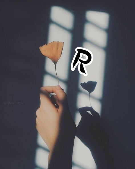 R Wallpaper Letter, R Wallpaper Letter Aesthetic, Wallpaper Letter, R Letter, S Letter Images, Love Pic, R Wallpaper, Letter Images, Aesthetic Letters