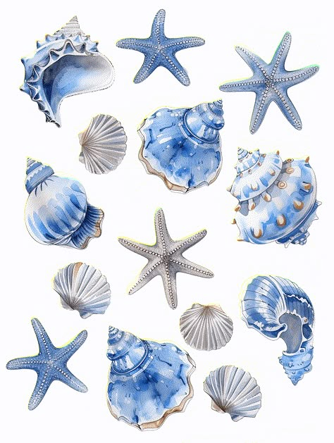 Printable Stickers Aesthetic Pastel, Sea Creatures Design, Paintings Of Shells, Blue Design For Scrapbook, Blue Scrapbook Design, Summer Aesthetic Drawing, Blue Scrapbook Ideas, Seashells Illustration, Ocean Illustration Art